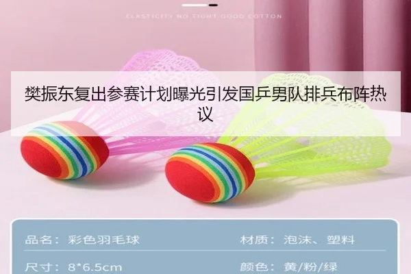樊振东复出参赛计划曝光引发国乒男队排兵布阵热议 | kaiyun